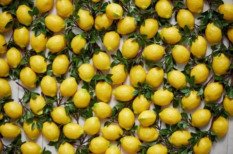 The texture of the lemons.Panels of artificial lemons on the wall. Lemons in Stock Photos