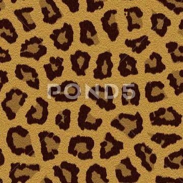 Texture of a leopard colouring Stock Illustration