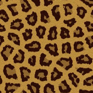 Texture of a leopard colouring Illustrazione stock
