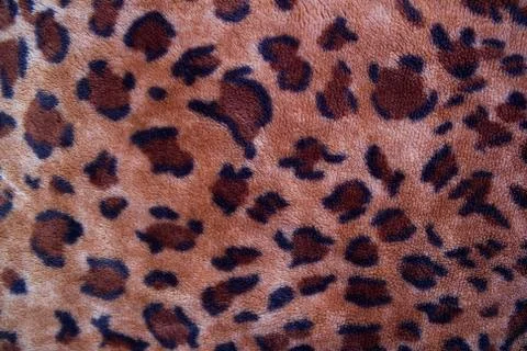Texture of a leopard colouring Stock Photos