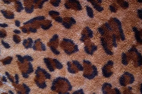 Texture of a leopard colouring Stock Photos