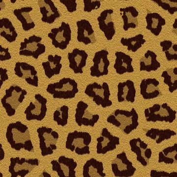 Texture of a leopard colouring Texture of a short sand color leopard fur C... Stock Photos