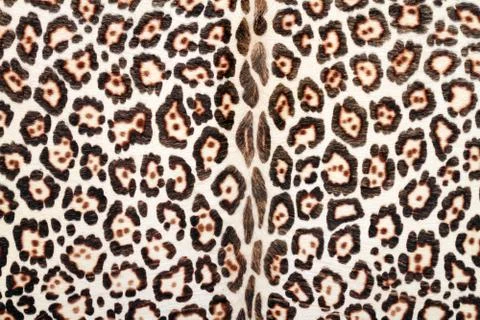 Texture of leopard fur Stock Photos