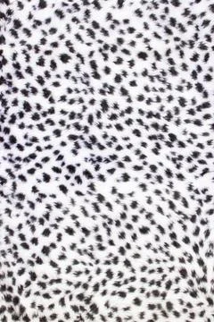 Texture of leopard fur Stock Photos