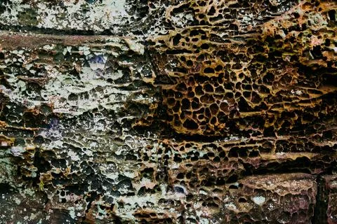 Texture of lichen rocks with tiny holes Stock Photos