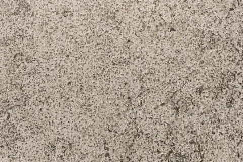 Texture of light stone in sunlight Stock Photos