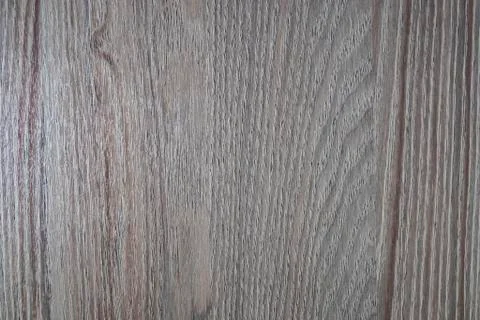 The texture of a light white-brown tree. Stock Photos