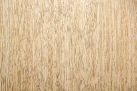 Texture of light wood in the cut Stockfoto's