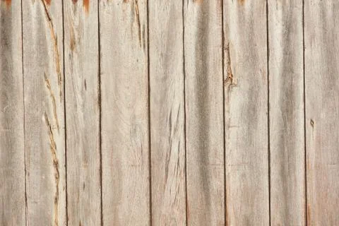 The texture of light wood Foto stock