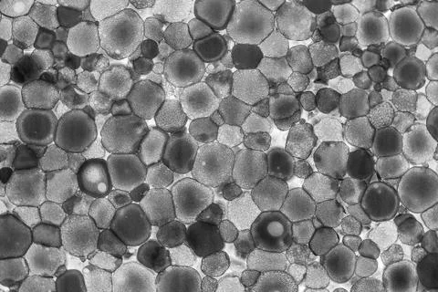 Texture of lighted foam layer Foto stock