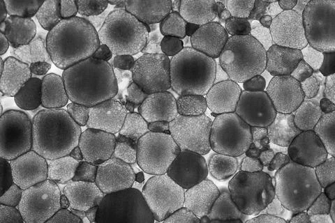 Texture of lighted foam layer Stock Photos