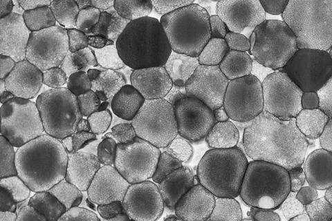 Texture of lighted foam layer Stock Photos