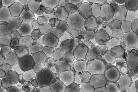 Texture of lighted foam layer Stock Photos