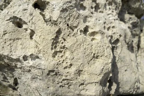 Texture of limestone rock  as a background Stock Photos