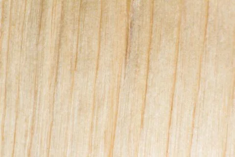 Texture of a log or log split across, macro shot, wood fibers are visible Stock Photos