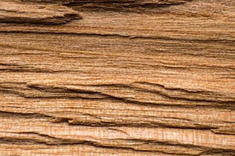 Texture of a log or log split across, macro shot, wood fibers are visible Stock Photos