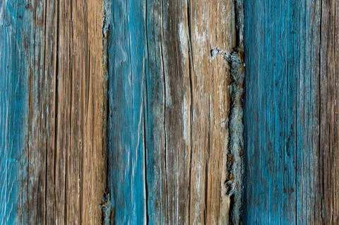 Texture of logs. Background and texture of a tree. Stock Photos