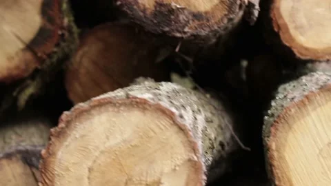 The texture of logs in the forest. Harvest tree for the winter V Stock Footage 143700634