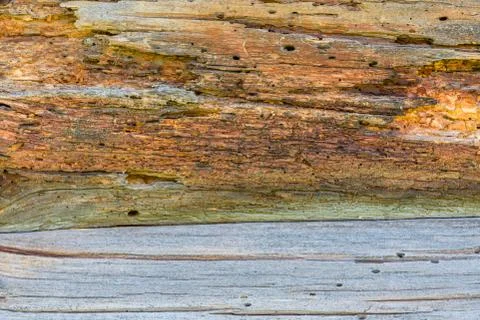 Texture of the logs. Wooden pattern for background Stock Photos