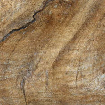 Texture longitudinal section of an old tree Stock Photos