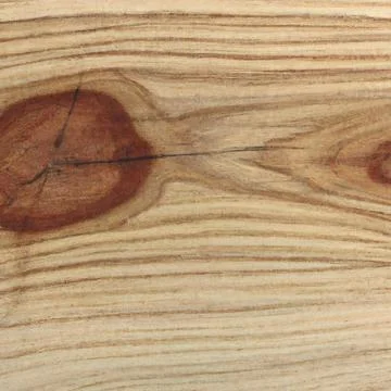 Texture longitudinal section of an old tree Stock Photos