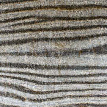 Texture longitudinal section of an old tree Stock Photos