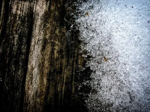The texture of the lower layer of tree bark and covering her ice Stock Photos