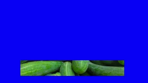 Texture lower third. Banner of vegetables image Stock Footage 234536792