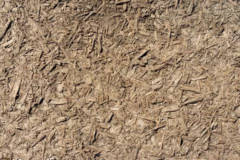 Texture of macro chipboard in hard light Stock Photos