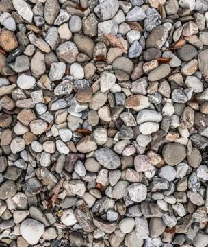 Texture made of river rocks Stock Photos