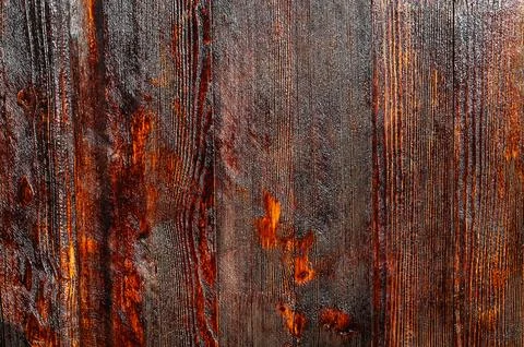 The texture of a mahogany colored tree. Stock Photos