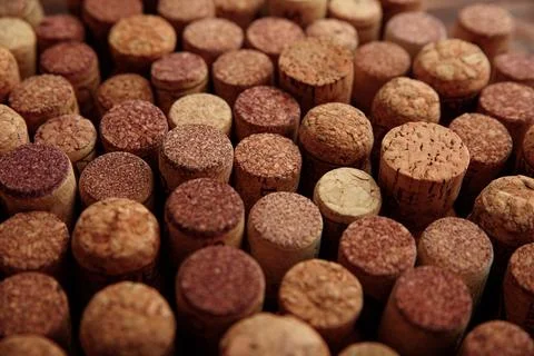 Texture of many natural wine corks from a winery Stock Photos