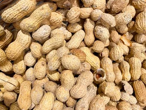 Texture with many peanut nuts and shells Stock Photos