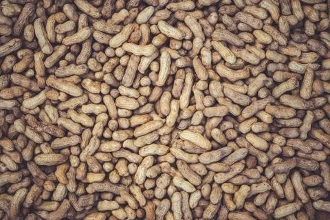 Texture of many peanuts are dried in the sun. Stock Photos
