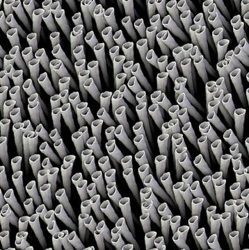 Texture of many straw. wallpapers pattern Stock Illustration