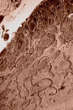 The texture of marble. Abstract background, made in the technique of fluid art. Stock Photos