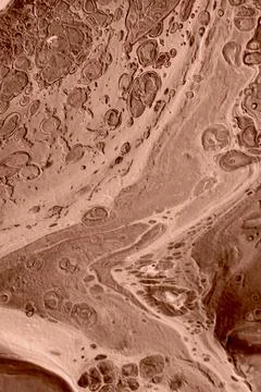 The texture of marble. Abstract background, made in the technique of fluid art. Stock Photos
