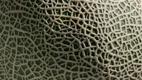 Texture of melon rotate in slow motion, Close-up of cantaloupe melon Stock Footage 158236946