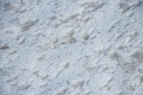 Texture of melting spring snow Stock Photos