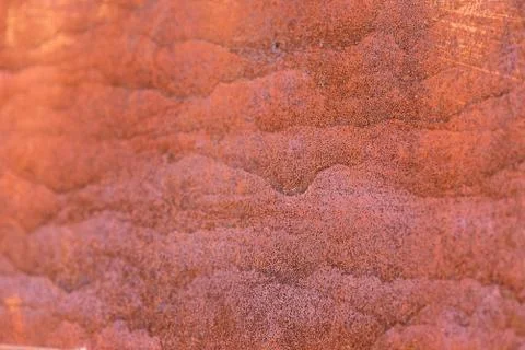 The texture of the metal doors Stock Photos