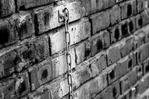 The texture of the metal doors Stock Photos