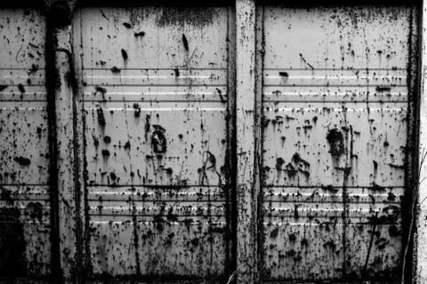 The texture of the metal doors Stock Photos
