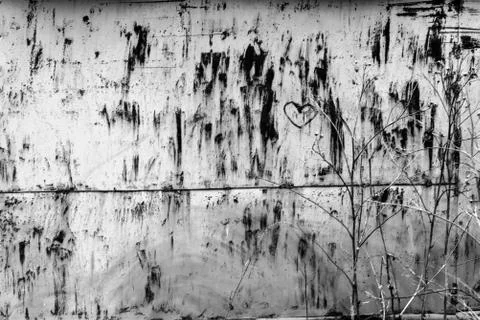 The texture of the metal doors Stock Photos