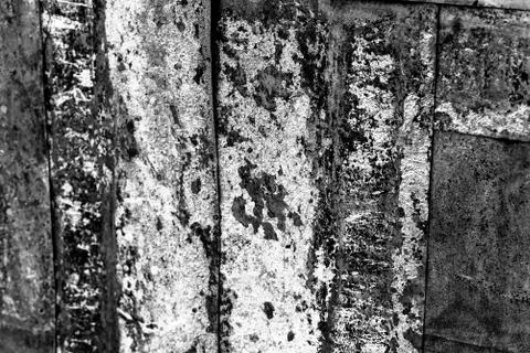 The texture of the metal doors Stock Photos