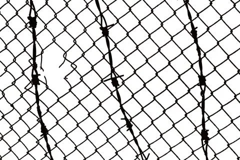Texture of metal mesh with barbed wire on a white background. Mesh fence Stock Photos