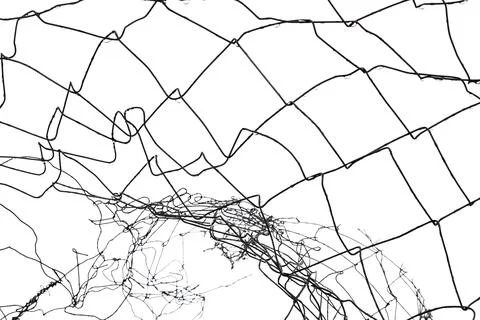 The texture of the metal mesh. Torn, destroyed, broken metal mesh on a whit.. Stock Photos
