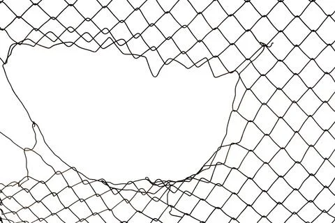 The texture of the metal mesh. Torn, destroyed, broken metal mesh on a whit.. Stock Photos