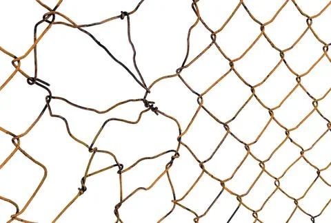 The texture of the metal mesh. Torn, destroyed, broken metal mesh on a whit.. Stock Photos