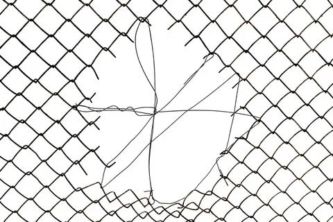 The texture of the metal mesh. Torn, destroyed, broken metal mesh on a whit.. Stock Photos