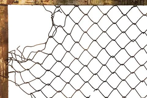 The texture of the metal mesh. Torn, destroyed, broken metal mesh on a whit.. Stock Photos